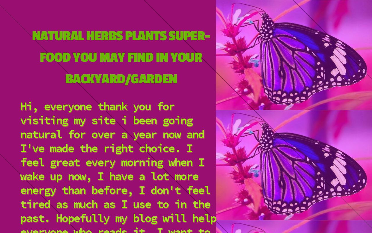 natural herbs plants superfood you may find in your backyard/garden